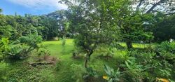 Seletar Garden (D28), Terrace #582951001